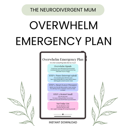 Overwhelm Emergency Plan