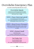 Overwhelm Emergency Plan